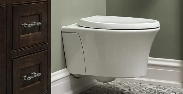 Wall Hung Toilet Dimensions