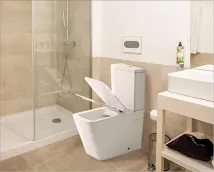 Rimless Tornado Flush Toilet vs Jet Flush Commode