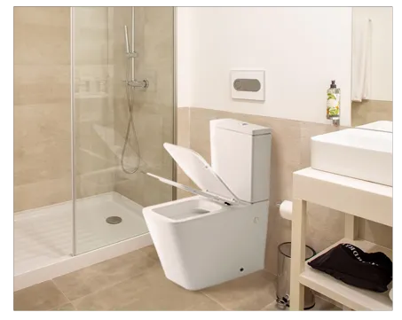 Wholsale Apartment Toilet in Bangladesh