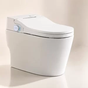 Custom Smart Commode (3)