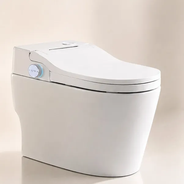 Custom Smart Commode