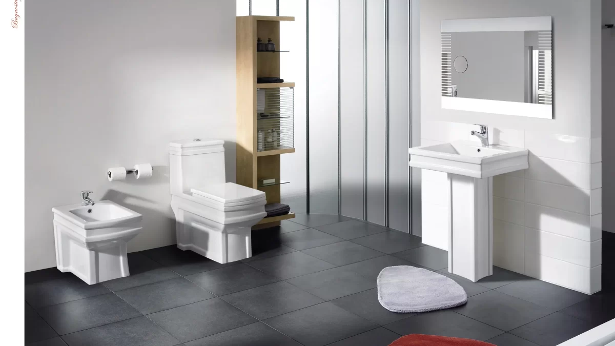 Rimless Tornado Flush Toilet vs Jet Flush Commode1